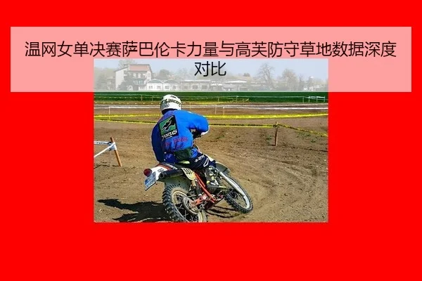wen-wang-nv-dan-jue-sai-sa-ba-lun-ka-li-liang-yu-gao-fu-fang-shou-cao-di-shu-ju-shen-du-dui-bi-2-377.jpg